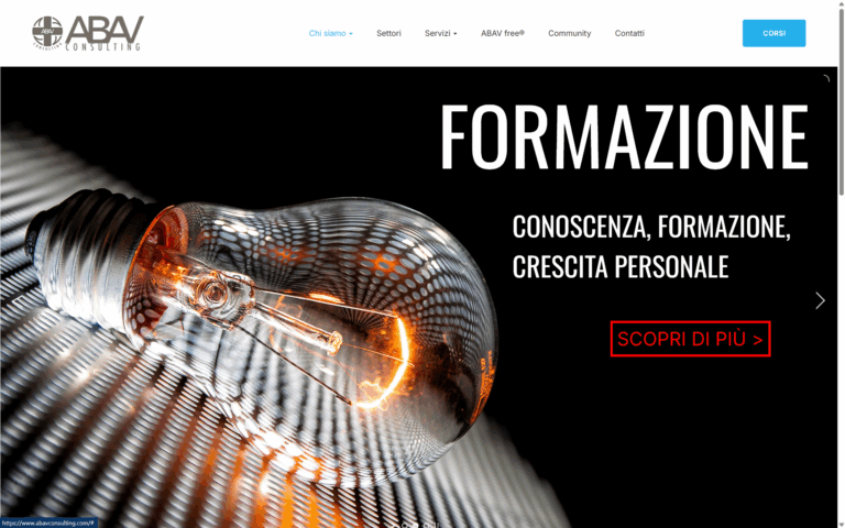 Scopri di più sull'articolo ABAV Consulting