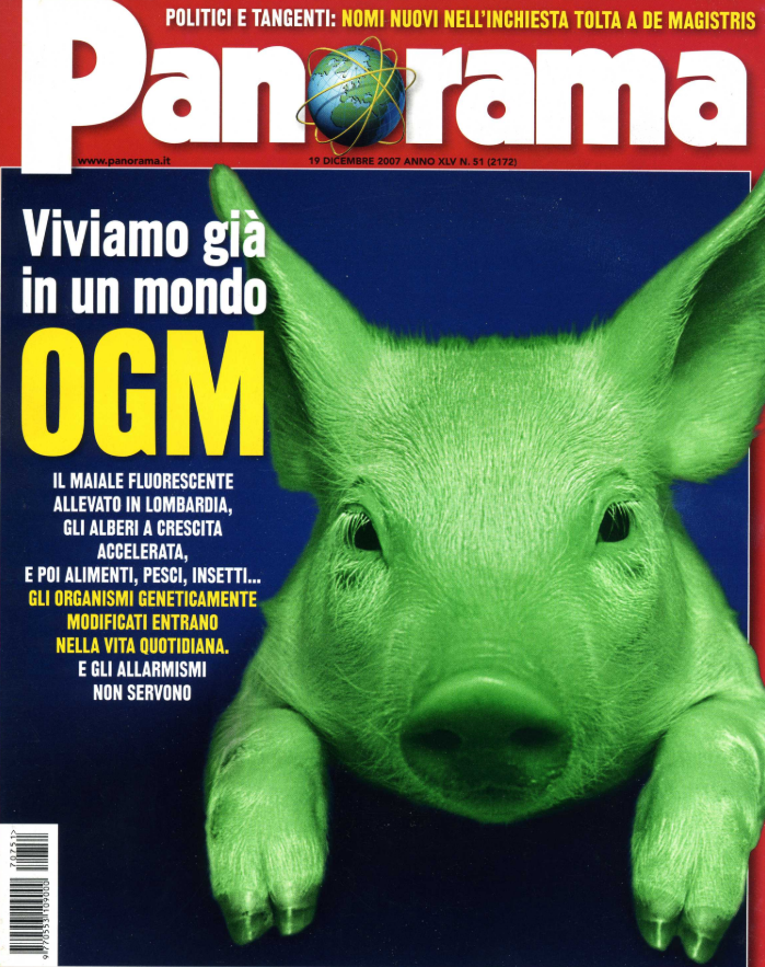 Scopri di più sull'articolo 120 grammi di barzellette (Panorama)