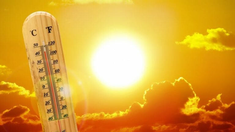 Scopri di più sull'articolo Vi vedo che state tutti lì in scaramantico silenzio. Tutti acquattati pronti a…