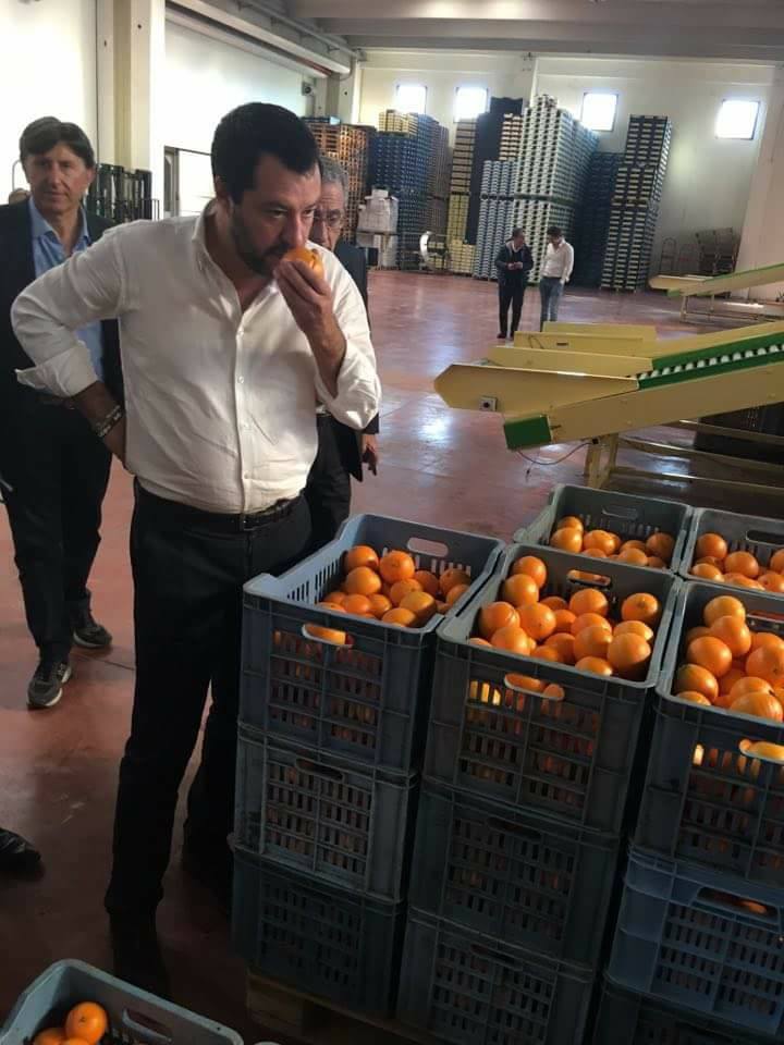 Scopri di più sull'articolo Basta dire che è uno sciacallo! Guardate Salvini con quanto affetto sceglie…