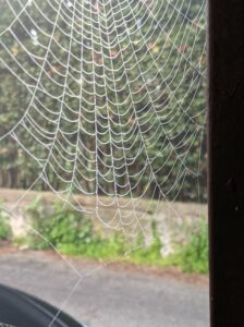 Scopri di più sull'articolo Il mio ultimo weekend da quarantenne… che saudade…