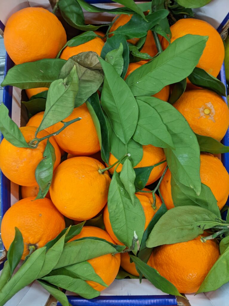 Scopri di più sull'articolo Arance navel di Sicilia in foglia, buccia edibile. Che cosa mai ci farò…