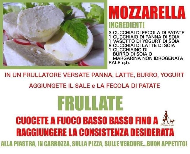 Scopri di più sull'articolo La provi a fare la mozzarella vegana…