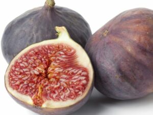 Scopri di più sull'articolo E il pensiero costante dei fichi…