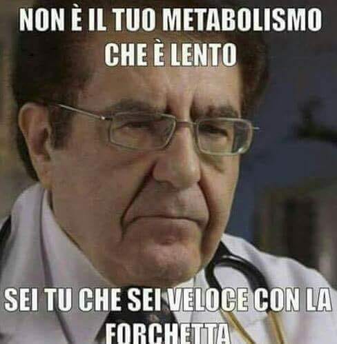 Scopri di più sull'articolo Capito Bibo…