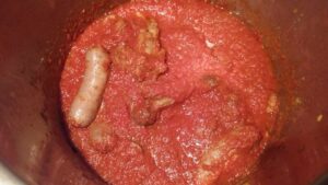 Scopri di più sull'articolo Ho una paura fottuta che mi piombino dentro casa gli ispettori dell’OMS con gli…