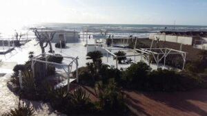Scopri di più sull'articolo Camminatona di inizio anno al mare. Si comincia…