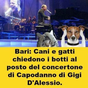 Scopri di più sull'articolo Post del 23/12/2016…