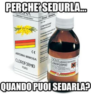 Scopri di più sull'articolo Non fatevi trovare impreparati il prossimo 8 marzo!!! Acquistate per tempo il…
