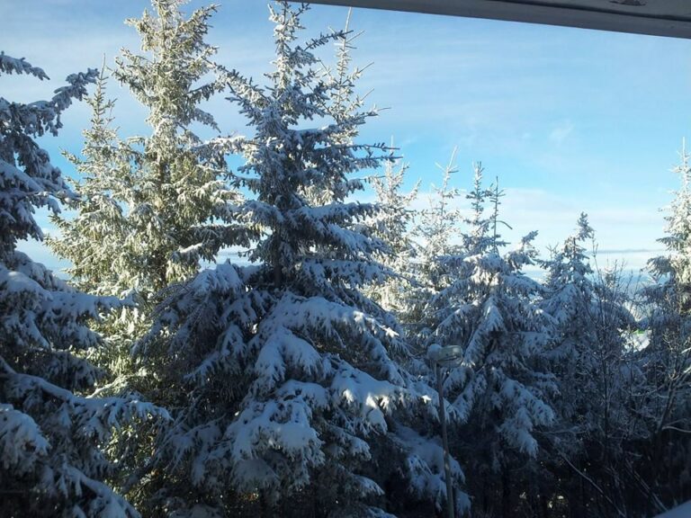 Scopri di più sull'articolo Lassù qualcuno mi ama! Ieri ha nevicato tutto il giorno ed oggi c’è un gran…