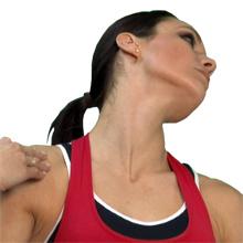 Scopri di più sull'articolo Lo sternocleidomastoideo è in assoluto il mio muscolo preferito. Mentre la…
