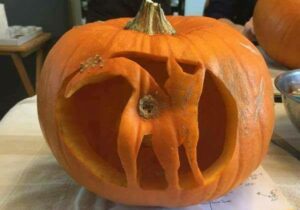 Scopri di più sull'articolo Io la zucca l’ho preparata. E voi? Buon Halloween a tutti…