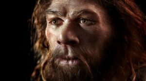 Scopri di più sull'articolo Milioni di anni di evoluzione, miliardi di pagine di libri scritte e lette…