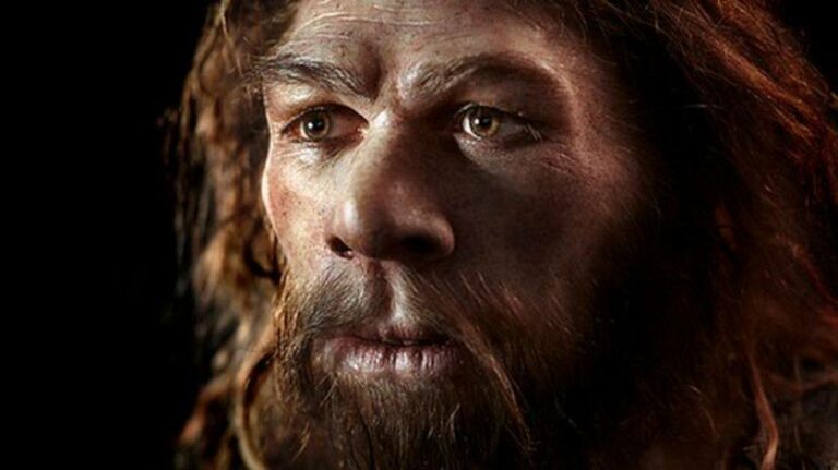 Scopri di più sull'articolo Milioni di anni di evoluzione, miliardi di pagine di libri scritte e lette…