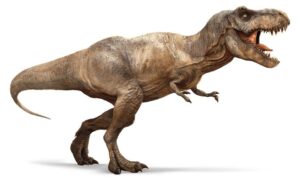 Scopri di più sull'articolo Secondo voi la leggendaria ferocia del Tirannosaurus Rex, oltre che dai…