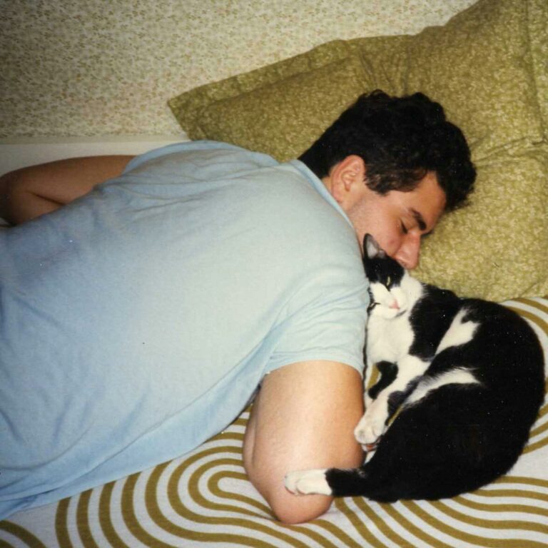 Scopri di più sull'articolo Ebbene sì… ce l’ho anche io un passato da gattaro! A giudicare…