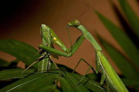 Scopri di più sull'articolo Facciamo l’amore oggi. <3 Come fosse l'ultima volta. Anche se non ci dovessimo...