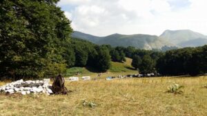 Scopri di più sull'articolo Posizione presa nonostante l’assalto alla montagna…