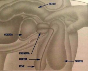 Scopri di più sull'articolo Quanto è brutto per un uomo superare i 45 anni e quanto è umiliante sentirsi…
