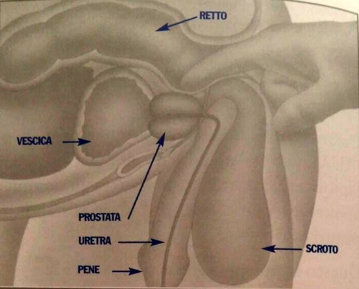 Scopri di più sull'articolo Quanto è brutto per un uomo superare i 45 anni e quanto è umiliante sentirsi…