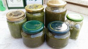 Scopri di più sull'articolo Ecco che fine ha fatto la mia piantagione di basilico: quasi due chili di…