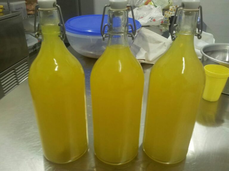 Scopri di più sull'articolo Limoncello? Fatto…