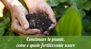 Scopri di più sull'articolo Tutta la mia solidarietà a chi anche oggi si è sporcato le mani con l’intento…