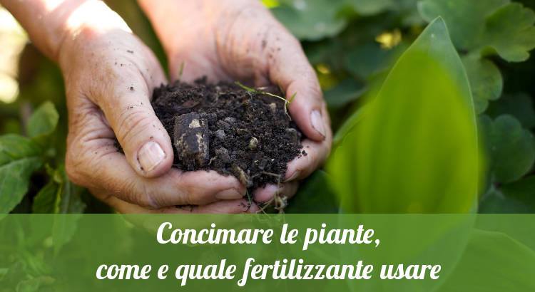 Scopri di più sull'articolo Tutta la mia solidarietà a chi anche oggi si è sporcato le mani con l’intento…