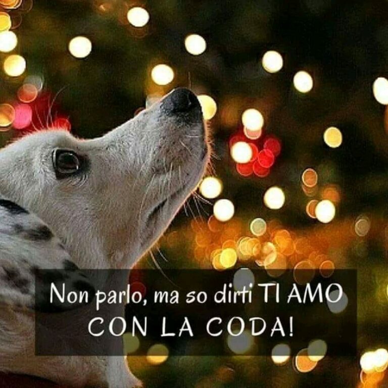 Scopri di più sull'articolo Metti like e condividi se pensi ke i kanniolini sn mellio delle perzone…