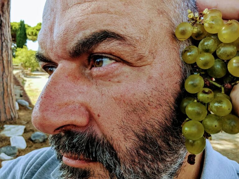 Scopri di più sull'articolo Per Bacco…