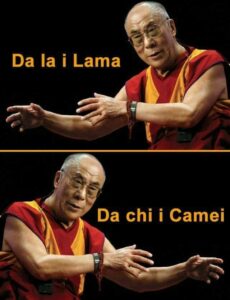 Scopri di più sull'articolo Non se sbajamo…