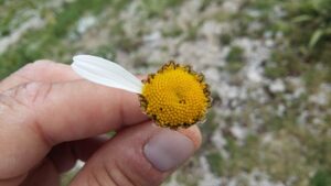 Scopri di più sull'articolo Post del 03/07/2016…