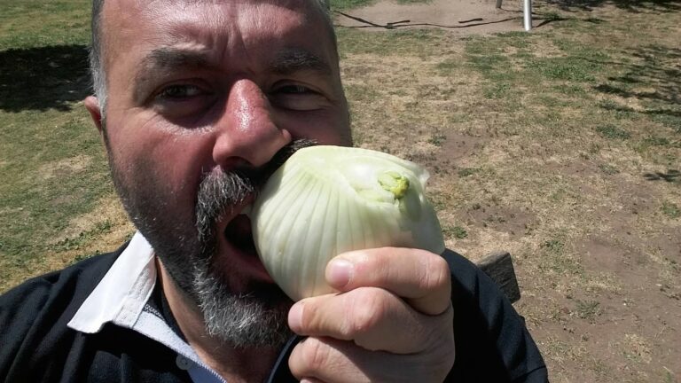 Scopri di più sull'articolo A pranzo con un grosso finocchio…