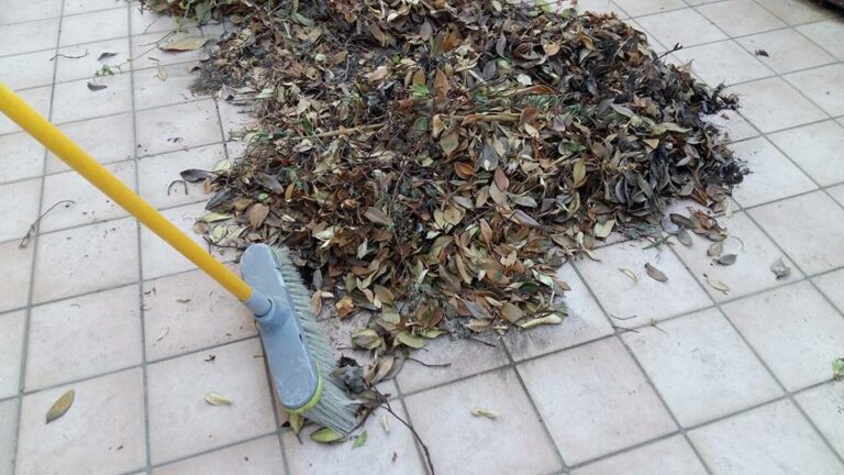 Scopri di più sull'articolo È tutto il pomeriggio che scopo in terrazzo. Non ce la faccio più. Mi dovrò…