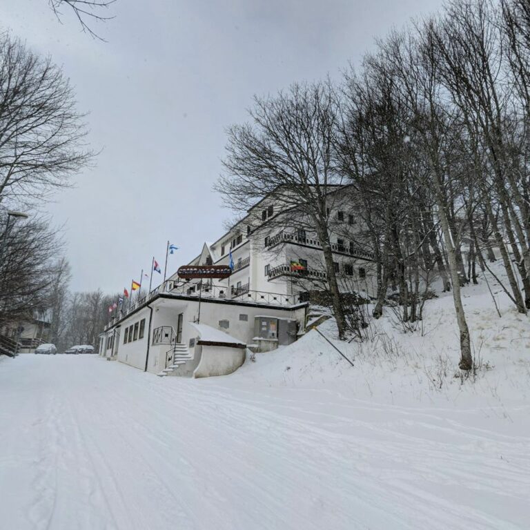 Scopri di più sull'articolo Hotel Cristallo…