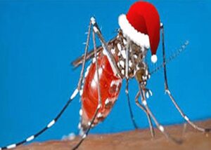 Scopri di più sull'articolo L’unica entusiasmante novità di questo bel Natale è che ieri sera in camera ho…