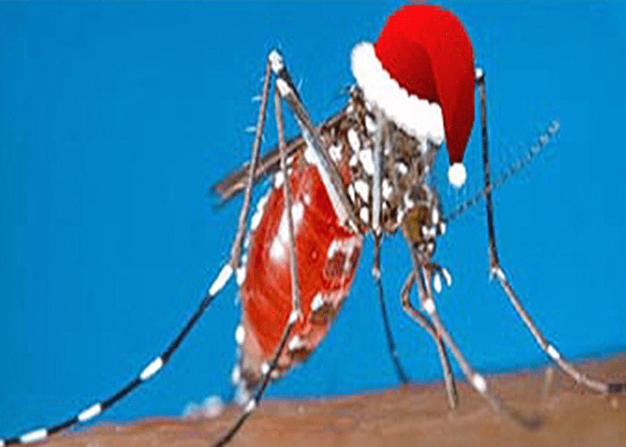 Scopri di più sull'articolo L’unica entusiasmante novità di questo bel Natale è che ieri sera in camera ho…