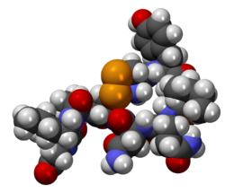 Scopri di più sull'articolo L’ossitocina è un ormone peptidico presente in tutti i mammiferi. È detto anche…