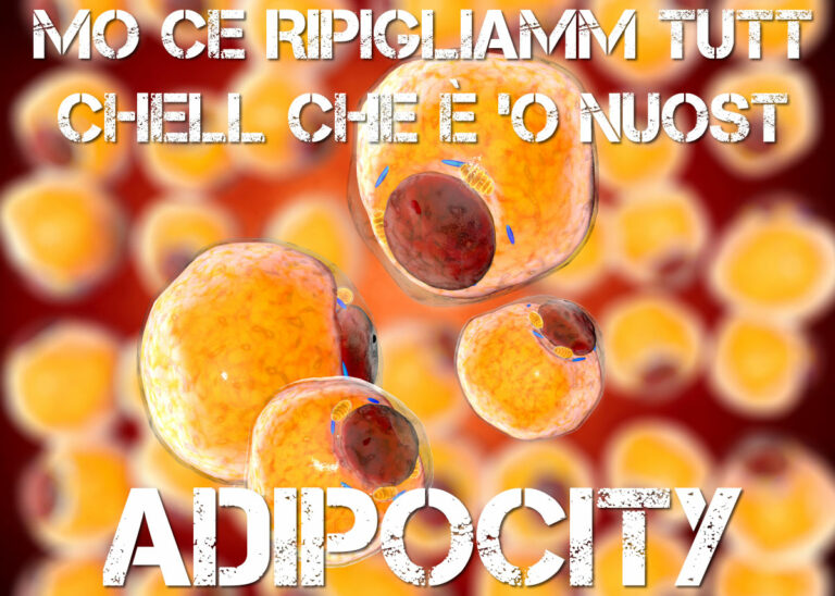 Scopri di più sull'articolo Stamattina, mentre mi chinavo con fatica ad allacciarmi le scarpe, ho sentito…
