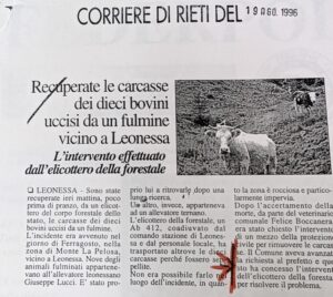 Scopri di più sull'articolo Recuperate le carcasse dei dieci bovini uccisi da un fulmine vicino a Leonessa (Corriere di Rieti)