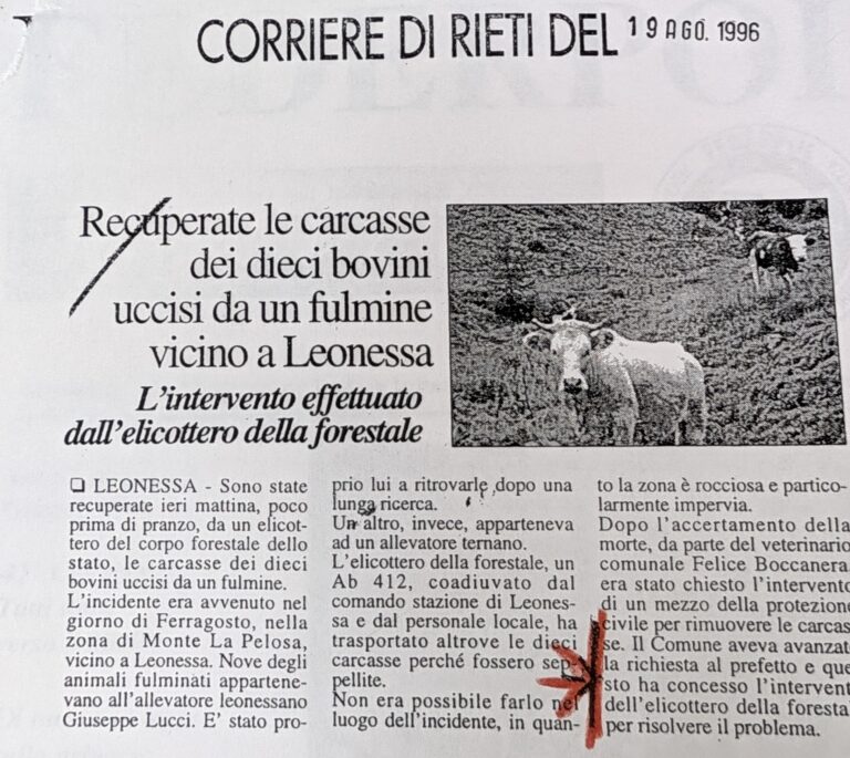 Scopri di più sull'articolo Recuperate le carcasse dei dieci bovini uccisi da un fulmine vicino a Leonessa (Corriere di Rieti)