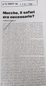 Scopri di più sull'articolo Mucche, il safari era necessario? (Il Tempo)