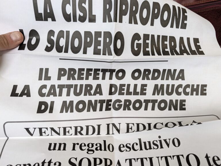 Scopri di più sull'articolo LA CISL RIPROPONE LO SCIOPERO GENERALE
