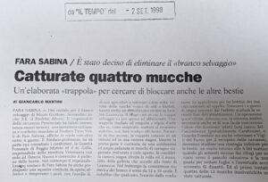 Scopri di più sull'articolo Catturate quattro mucche (Il Tempo)