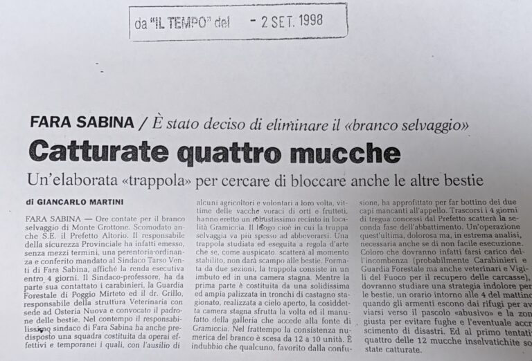 Scopri di più sull'articolo Catturate quattro mucche (Il Tempo)