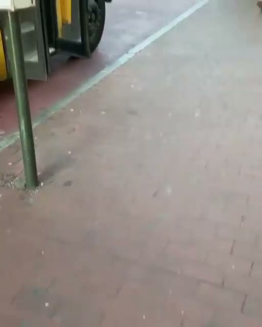 Scopri di più sull'articolo Ti ci vedo a fare gli scherzi sugli scuolabus!!! Malandrino. 😉…