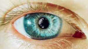 Scopri di più sull'articolo Le puoi ruotare di 360°! (Anche se a te basterebbero 90°…)…