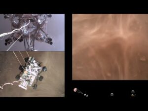 Scopri di più sull'articolo Un video da brividi…