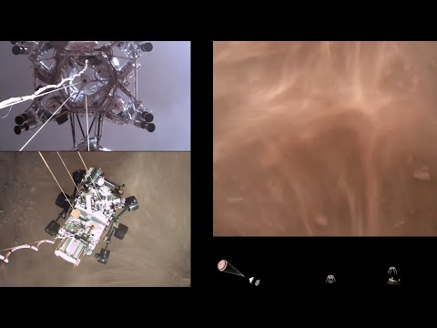 Scopri di più sull'articolo Un video da brividi…